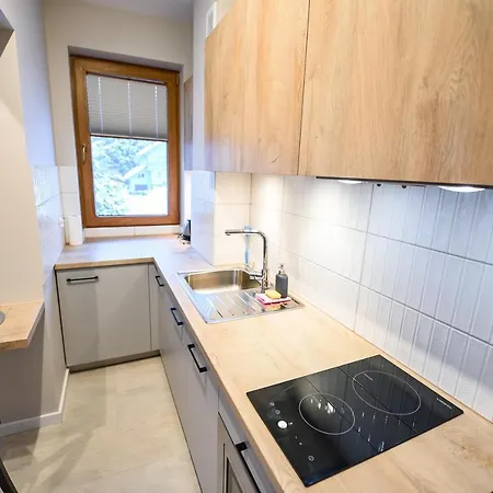 Apartamenty Sun & Snow Bukowa Dolina Krynica Zdroj Exterior photo